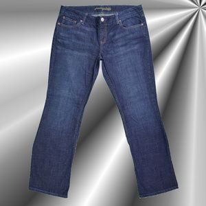 American Eagle Women's Jeans (Dark Wash, 14)